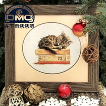 Precision printing French DMC cross stitch kit living room bedroom hanging painting quiet nap kitten