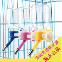 Dog Hanging Drinker Kokie Automatic Drinking Water Machine Gold Wool With Large Dog Dog Feeding Kettle Pet Supplies