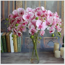 Simulation flower Phalaenopsis 6-color orchid simulation plant fake flower simulation flower single branch Phalaenopsis