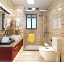 Throwing BRICS 300x300 toilet kitchen wall brick throwing crystal brick bathroom parquet kitchen and floor tile gold plated brick