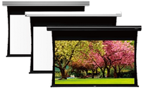 Gandview Meishi too flat series screen ceiling hidden intelligent cable screen agent