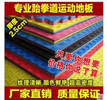 Upgraded version of Taekwondo Hall mat EVA high density thick tasteless sports Sanda dance training floor mat hot sale