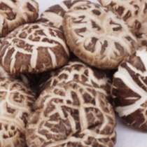  New Tongjiang premium basswood wild flower mushroom good taste}Selected