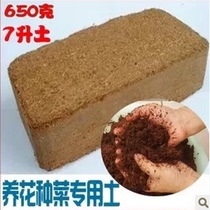 Sterile plastic sealed compressed coconut brick coconut coconut brickled coconut coconut Bran sprouts soilless cultivation substrate 600g