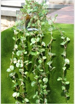 Simulation Mini Begonia Leaf Plant Wall Wall Flower Simulation Flower Simulation Plant Plant Wall Engineering Flower