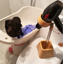 Cat small dog hair dryer bracket pet beauty table fixed bracket lazy hair dryer bracket dog