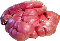 Inner Mongolia new edible agricultural products Hulunbuir natural free-range Hailar Nantun beef raw beef waist beef kidney