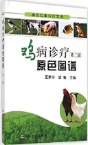 Veterinary clinical diagnosis and treatment: The original color map of the diagnosis and treatment of chicken disease (2nd edition) Wang Xinhua Silver Mei