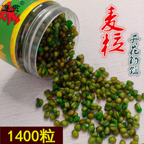 Wheat grain fishing bait for wild fishing crucian carp special wheat fruity wheat large grain fishing bait sweet potato flavor nest fermented carp bait