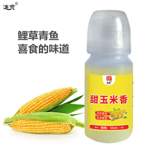 Sweet corn fragrance fishing carp special ultra-concentrated additive black pit fishing grass fish small pill seductive agent