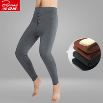 Arctic velvet warm pants Mens slim-fit inside wear velvet autumn pants Knee pads thickened cotton pants Mens youth tight base wool pants