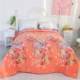 QUILT pha lê giường nhung bao gồm một mảnh 1.8m đôi tăng bên nhung bông của các tấm bên bìa giường bông kang - Trải giường