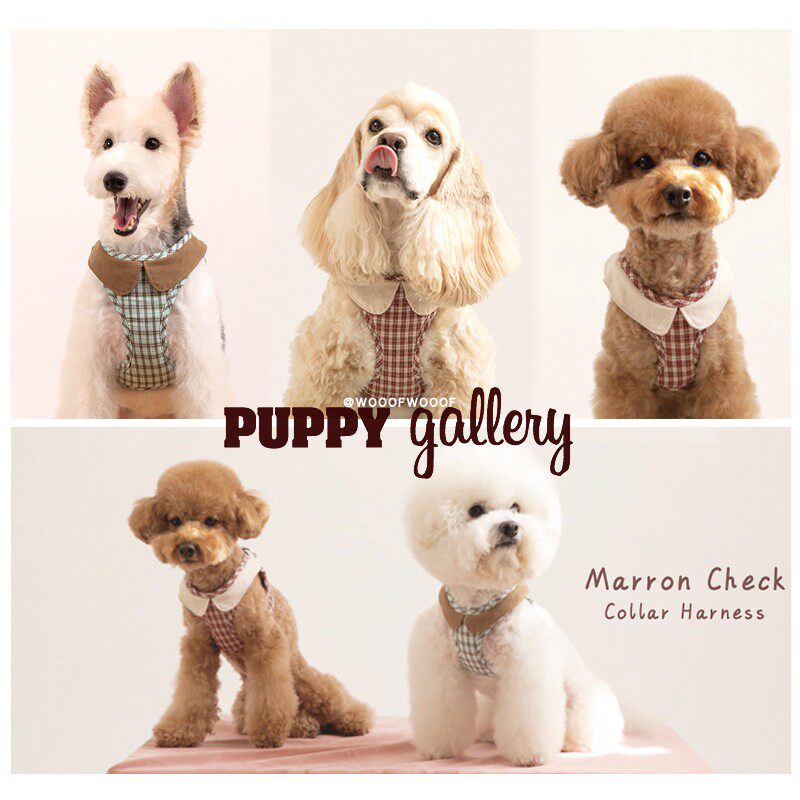 South Korea Puppy Gallery small round collar chest back vest style full cotton small medium canine dog traction rope