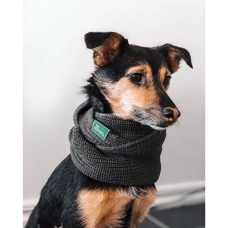 German Hunter imported pooch with large small canine warm windproof Malmo knitted scarves around the neck