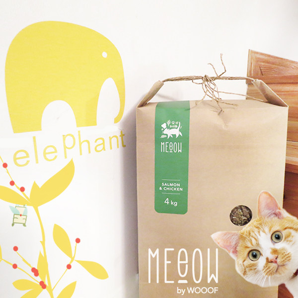 The pre-sale is expected to be shipped 4kg before 6 30