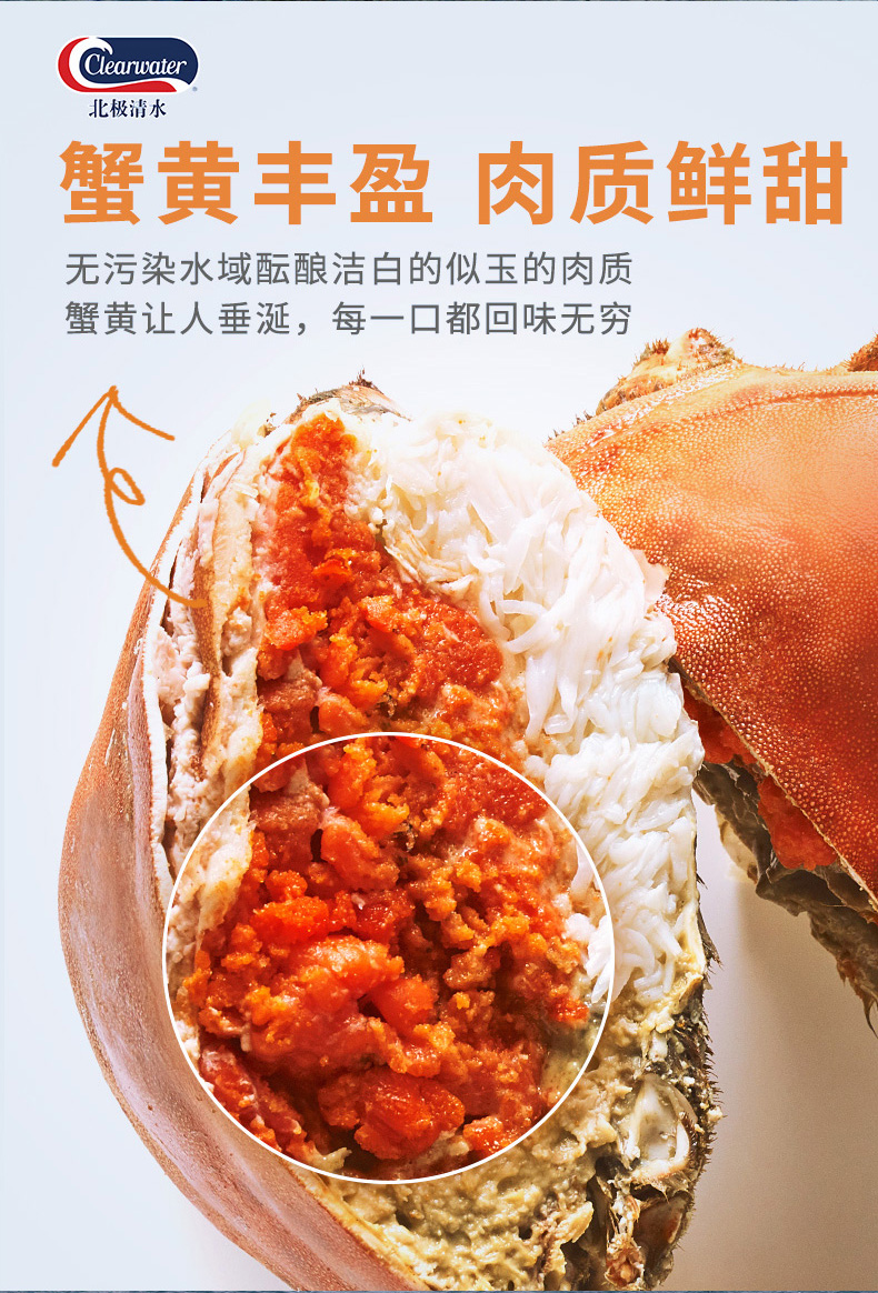 英国进口 全世界最多膏的螃蟹 面包蟹 2只 单只400-600g 图2
