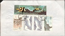 Domestic general package details sheet with 6 annual stamps attached