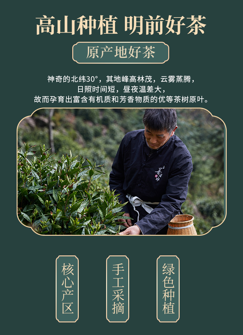 祁雅 碧螺春 苏州明前春茶嫩芽 125g罐装 图3