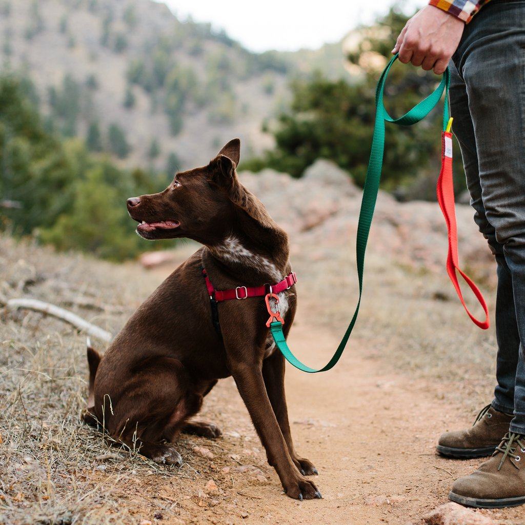 Beauty products TOPO DESIGNS Dog Leash Pet Dog Traction Rope Traction with dog Rope Retractable