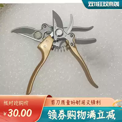 New Japan imported sk5 material pruning shears flowers and trees pruning pruning labor-saving garden scissors