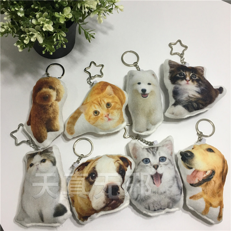 Diy Alien Pet Key Closed to Customize Cat Dog Souvenirs