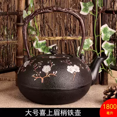 Japanese-style iron pot with eyebrows in southern Japan, old iron pot, cast iron pot, tea set, health tea cooker, 1 8L
