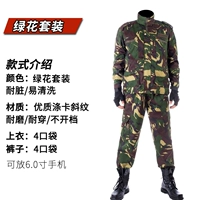 Комплект, куртка, штаны