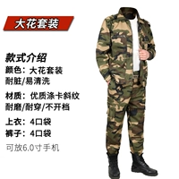 Комплект, куртка, штаны