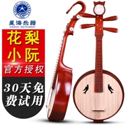 Nhạc cụ Xinghai 8502 Nhạc cụ múa rối chuyên nghiệp Pearoy Nhạc cụ dân tộc Xiaoyan