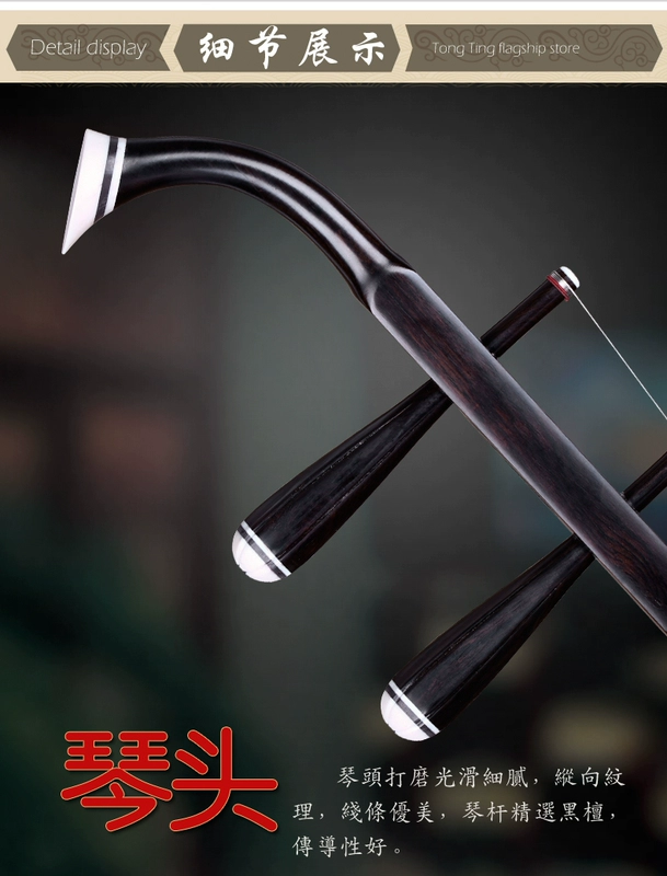 Ebony Hu Hu Erhu Nhạc cụ Erhu chấm điểm học đàn piano Cấu hình ban đầu - Nhạc cụ dân tộc