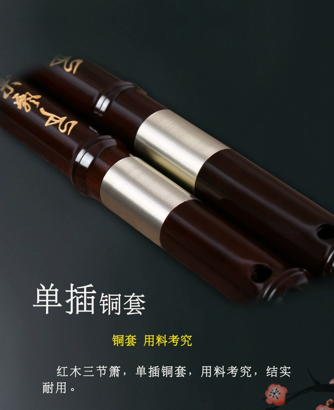 Bẻ khóa Tan Yun Boutique ba phần lỗ nhạc cụ Xiao biểu diễn chuyên nghiệp 箫 lỗ chơi - Nhạc cụ dân tộc