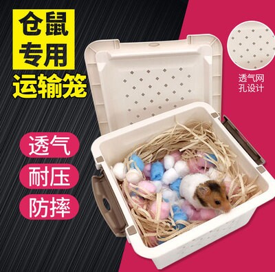 Small darling with transport box Express hamster Golden Silk Bear Flowers Squirrel Honey Bag TRANSPORT CASE FEEDING CAGE OUT OF THE CAGE