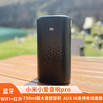 Xiaomi xiaoai speaker pro xiaoai classmate