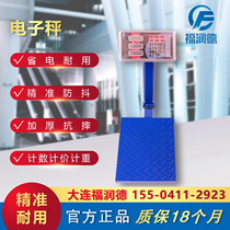 Elevator review special equipment electronic scale Libra electronic scale 5 gold tool scales scale