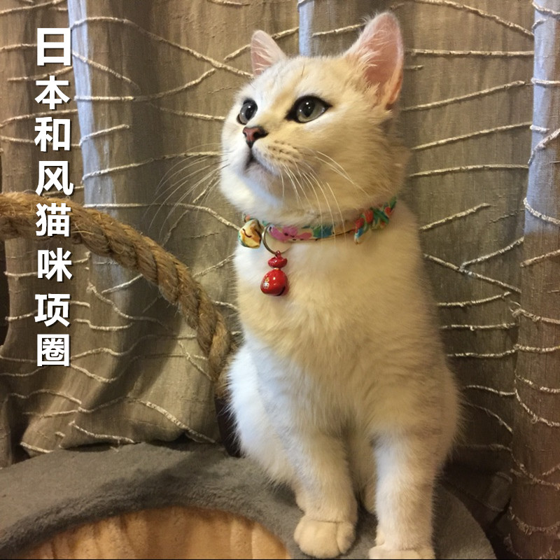 Princess Kate Cat Bell Item Ring Fu Bag Bell Neckline Cat Neckline Cat Necklace