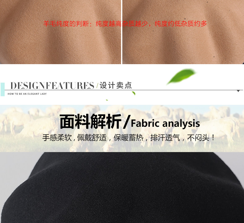 Chapeau pour femme      en Melange de laine - Ref 3234259 Image 10