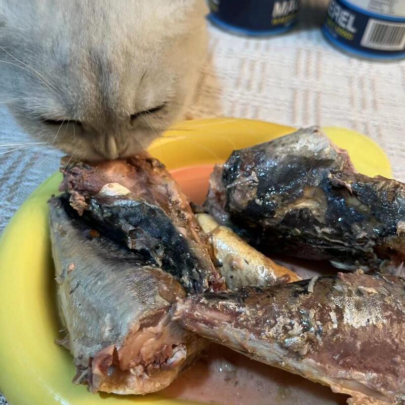 【24 Cans】Whole Box of 425g Export-Grade Mackerel Fish Chunks Without Pull Ring, Whole Fish in Gravy, Cat Snacks, Cat Canned Food