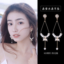 925 silver needle Korean style fashion temperament earrings tassel female super fairy net red crystal earrings long earrings
