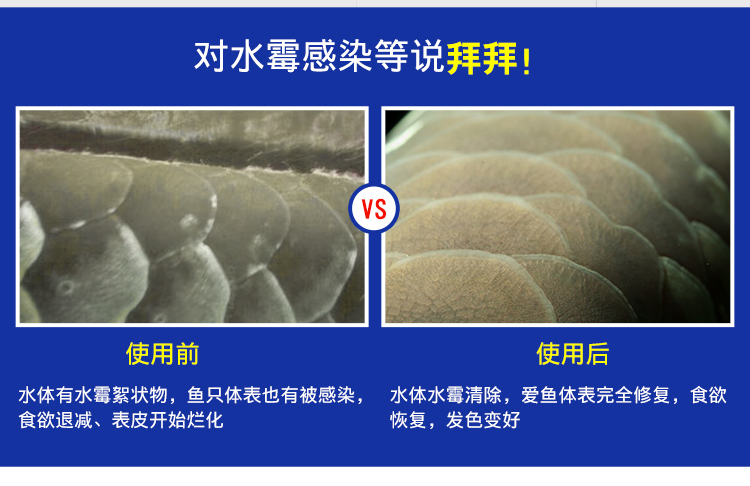 豆 本 Tăng cường miễn dịch cho vảy khuôn để cải thiện miễn dịch bể cá giải pháp chăm sóc chất lượng nước - Phụ kiện chăm sóc mắt nước giặt surf