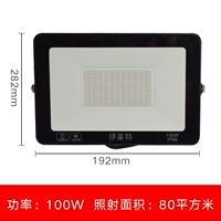 Elite 100 Watter -foot Power Engineering White Light
