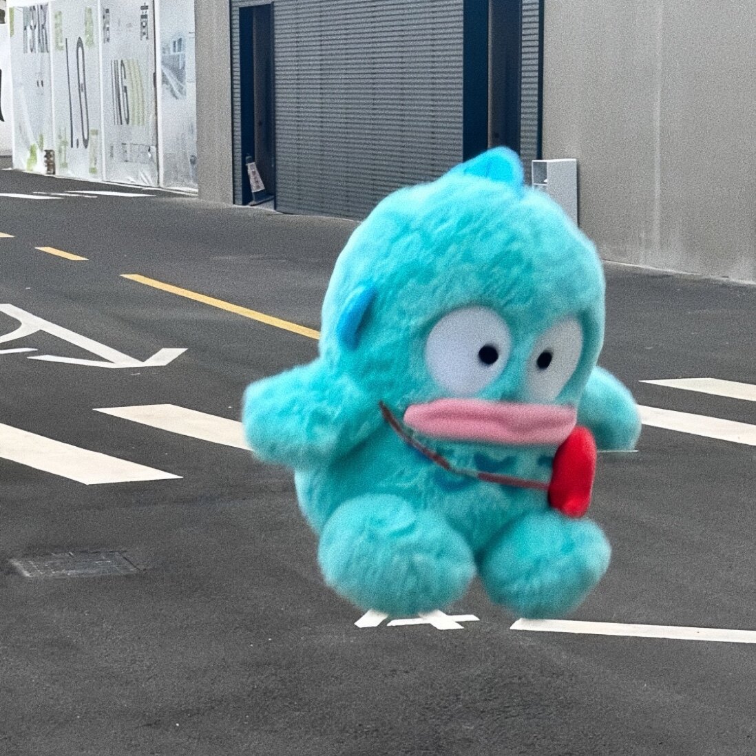 孔孝琳呐