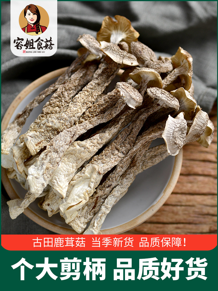 Gutian Teranate Antler Mushrooms Dry Goods 500g Yong-to-Sister Mushrooms Antler Bacteria Not Smoked with Sour Hot Pot 