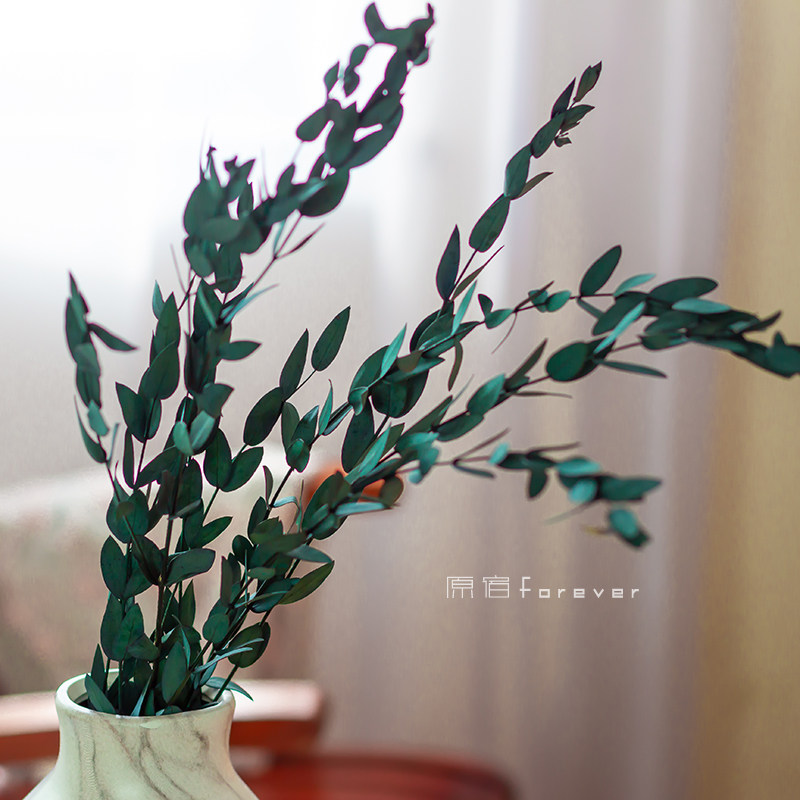 Yongsheng Eugalie Dry flower bouquet with home Decorative Furnishing Diy Handmade Creative Flower Material Polyamines Leaf