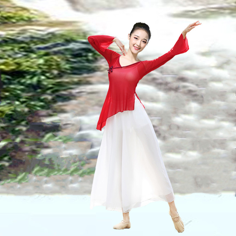 Chinese Dance Ethnic Classical Dance Practice Clothes for Women, Adult Body Rhyme Gauze Mesh Flowing Top and Wide-Leg Pants Set