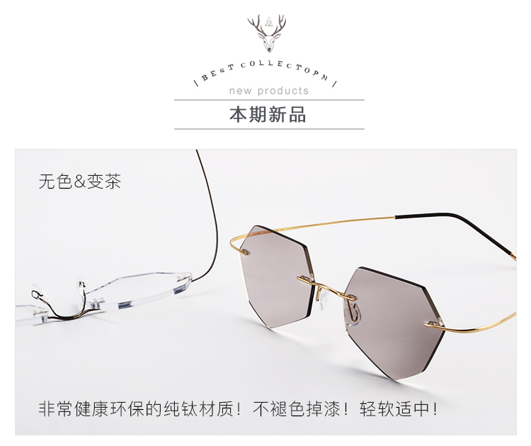 Montures de lunettes en Titane pur - Ref 3138988 Image 7