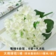 Khaki Milk White Hydrangea/1 ветвь