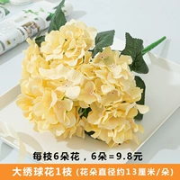 Имбирный шампанский цвет Hydrangea/1 филиал