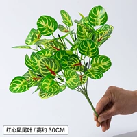 Красное сердце феникс хвостовое лист/1 ветвь