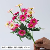 Маленький солнечный цветок/красный порошок