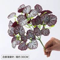 Белая пурпурная бегония листья/1 ветвь